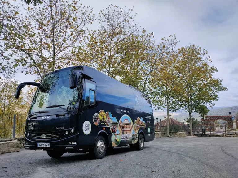 Alquiler de autobuses para colegios en Sevilla: Claves para excursiones seguras